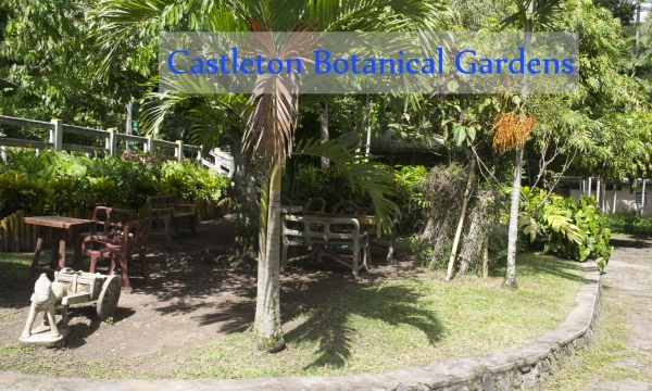 Castleton Botanical Gardens