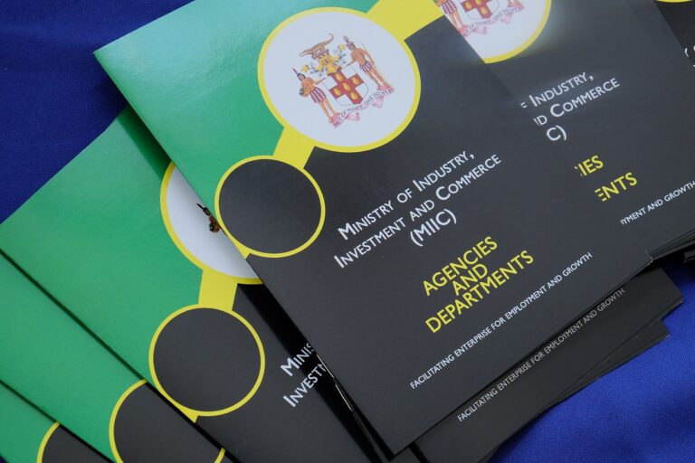 MIIC booklet