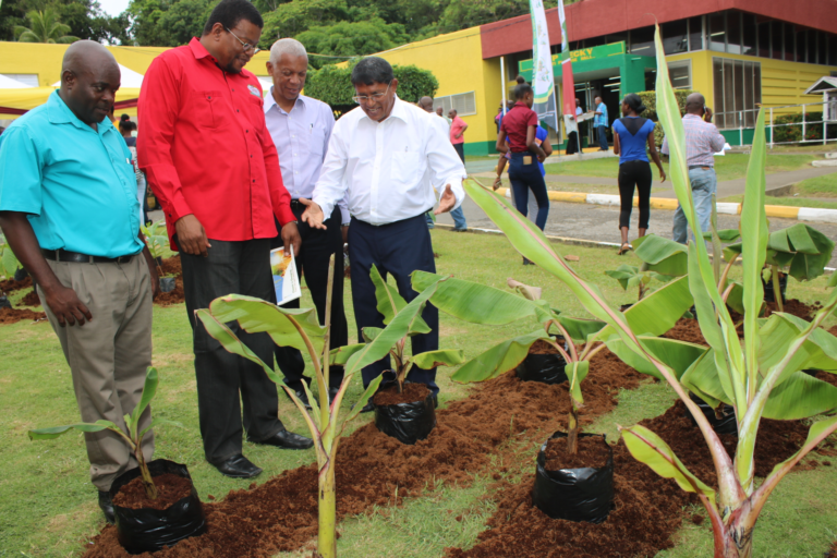 agro parks pic 1