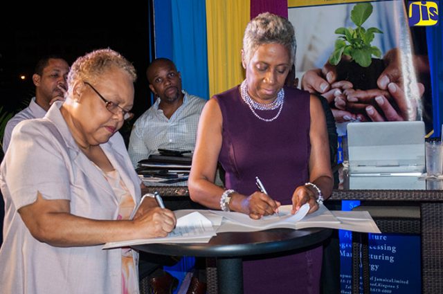 JBDC Partners with First Angels Jamaica to assist MSMEs -1-640x425
