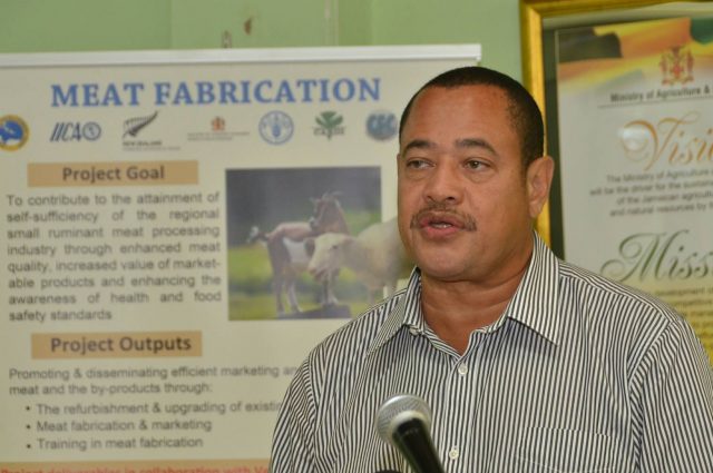 Large-Scale Investment Needed in Small-Ruminants Industry – BudhanYHP_3685_resized-640x425