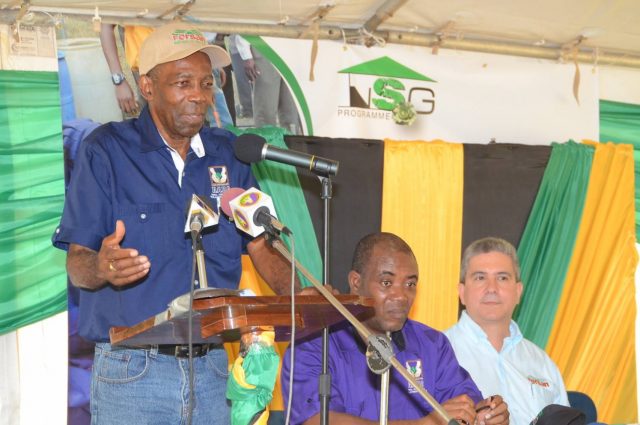 National School Garden Programme Relaunched1-640x425