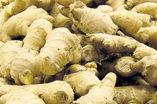 ginger