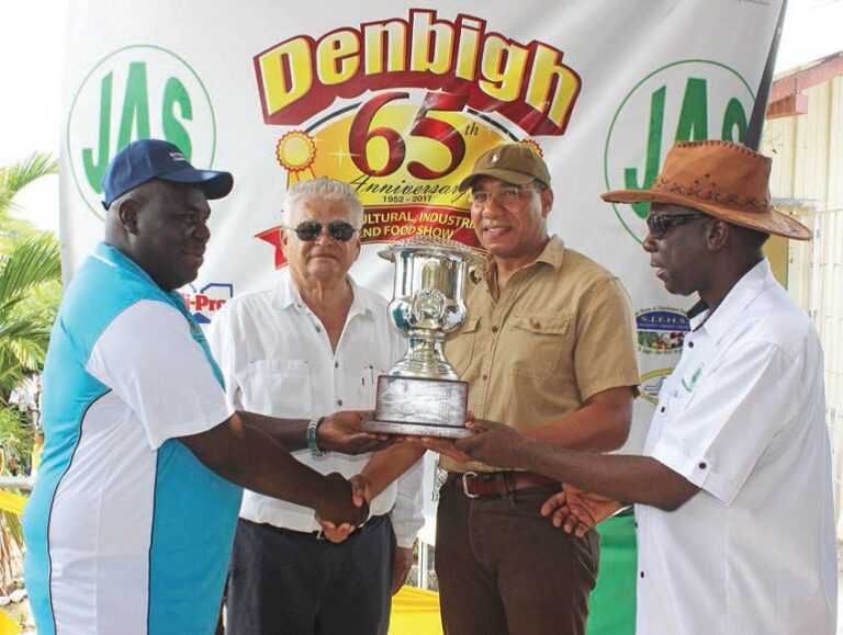 Champion Black Bull Winner