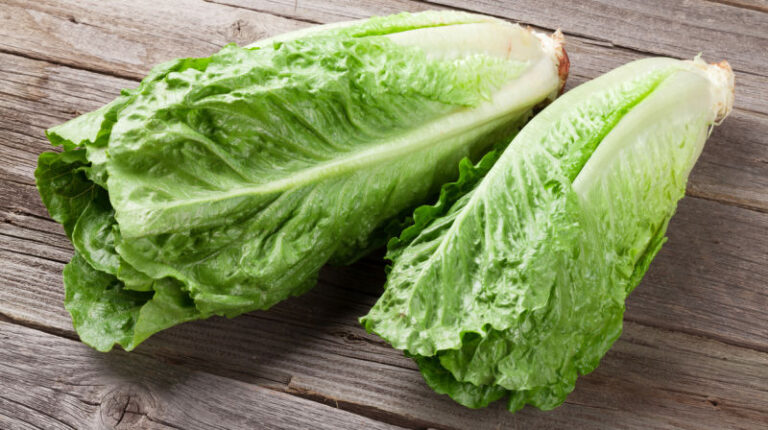 lettuce