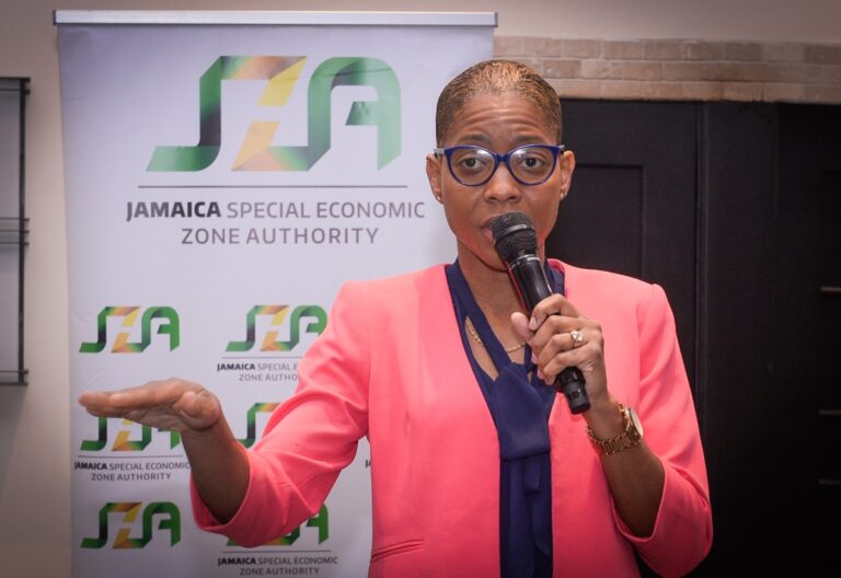 JSEZA Takes Potential Investors on Site Tours